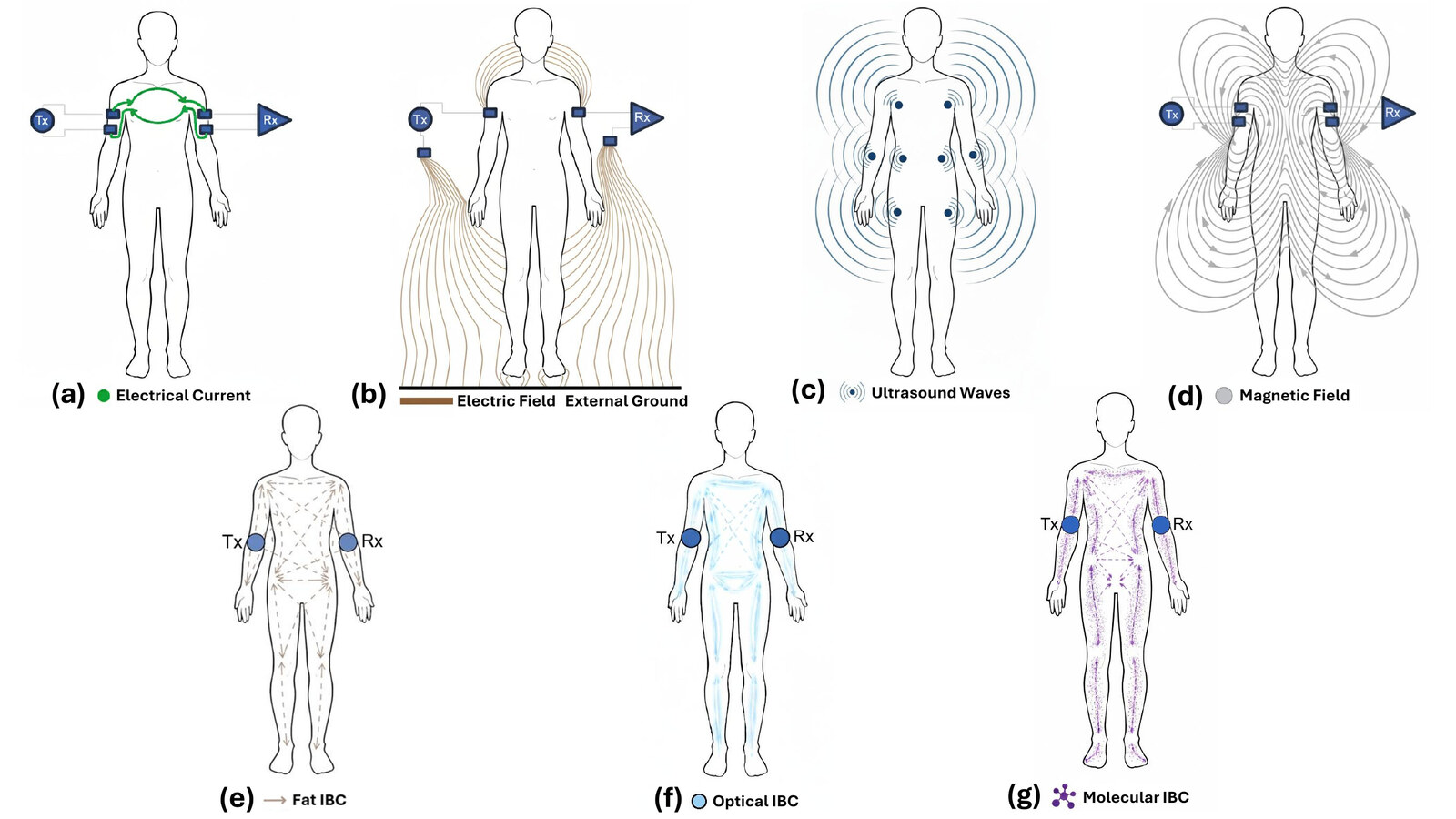 Taxonomy of Intra-Body Communication modalities